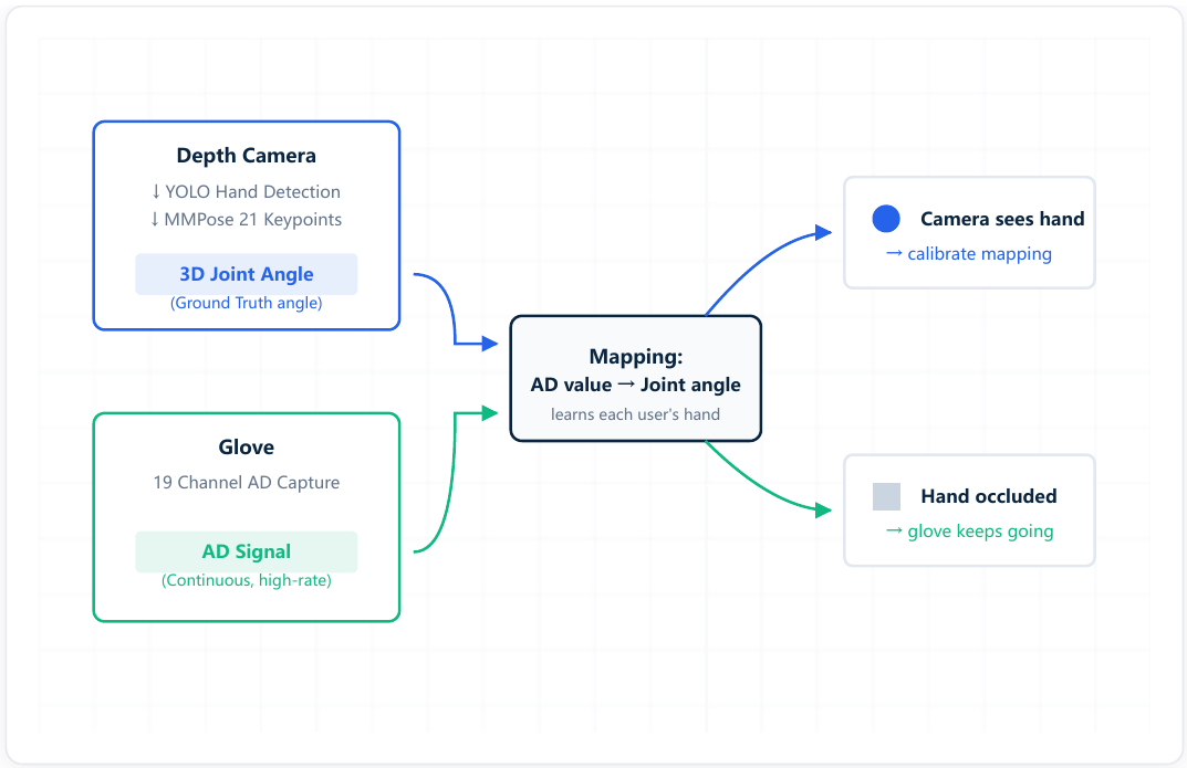 Fusion flow: depth camera ground truth and 19-channel glove signal feed one mapping — camera sees hand, calibrate; hand occluded, glove keeps going
